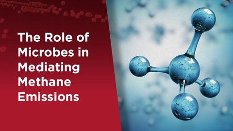Collage: links "The role of microbes in Mediating Methan Emission", daneben ein Molekül-Modell
