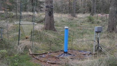 Verschiedene Messinstrumente stehen auf Waldboden.