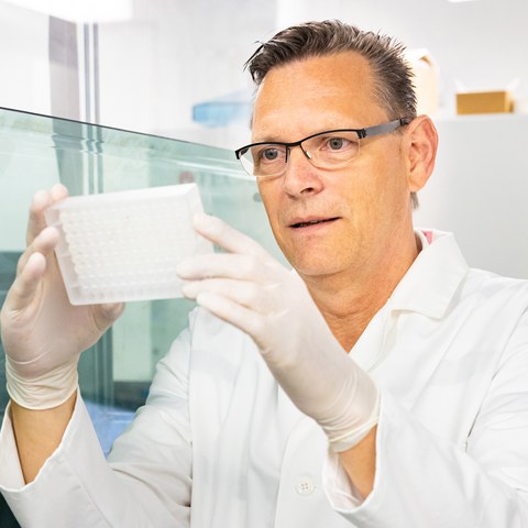 Porträtfoto Prof. Frank Buchholz