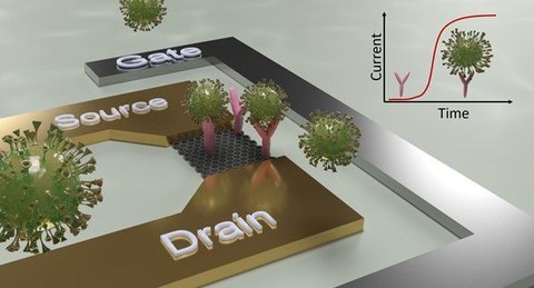 Schematischer Aufbau eines Sensors, mit den abgetrennten Bereichen "Drain, Source und Gate", darüber Grafiken von Viren.