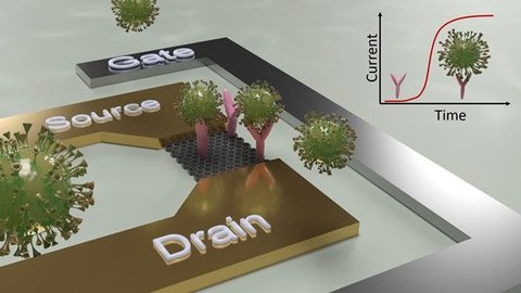 Schematischer Aufbau eines Sensors, mit den abgetrennten Bereichen "Drain, Source und Gate", darüber Grafiken von Viren.