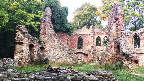 Foto des Innenhofs einer Burg im Wald.
