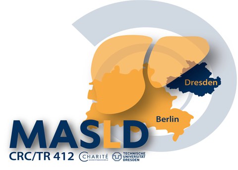  Logo of the MASLD research network.