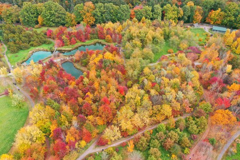 The Forest Botanical Garden of the TU Dresden in Tharandt. 