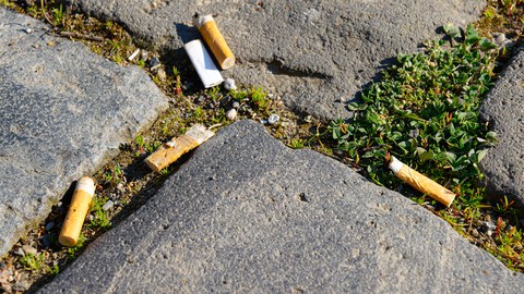 Nahaufnahme von Pflastersteinen, in deren Zwischenräumen sich Zigarettenstummel angesammelt haben.