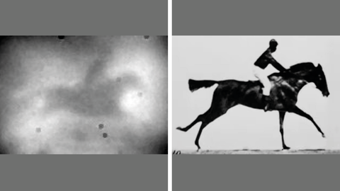 left: Image of a horse that was "beamed" using quantum entanglement, right: original image of a horse used for the quantum image.