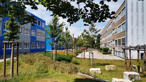 The school grounds of the Dresden University School, featuring a blue-grey container building, an old GDR-era building and landscaped outdoor areas serving as a green studio bathed in sunshine.