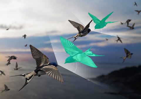 Ein zusätzlicher Freiheitsgrad – hier der grüne Vogel – verleiht der Theorie die nötige Flexibilität.
