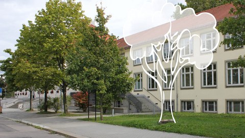 Baumpatenschaft