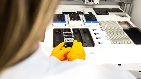Genomforschung am DRESDEN-concept Genome Center
