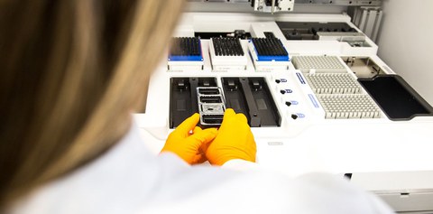 Genomforschung am DRESDEN-concept Genome Center