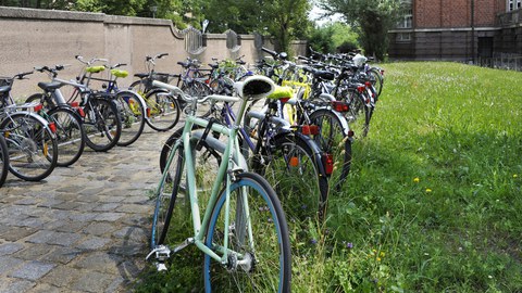 Bild mit Fahrrädern auf dem Campus