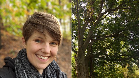 Fotocollage: rechts Wald, links das Porträtfoto von Solveig Nitzke