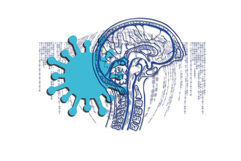 Grafik-Collage aus einem gezeichneten Querschnitt durch einen menschlichen Kopf und einem übergroßen Corona-Virus