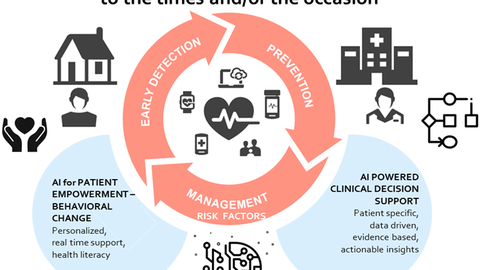 Um einen hellroten Ring in der Mitte der Grafik (beschriftet mit Prevention, Risk Management und Early Detection) sind die Vorgehensweisen gegen Herzkrankheiten darstellt