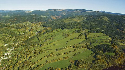 Grünes »Netzwerk« im tschechischen Riesengebirge.