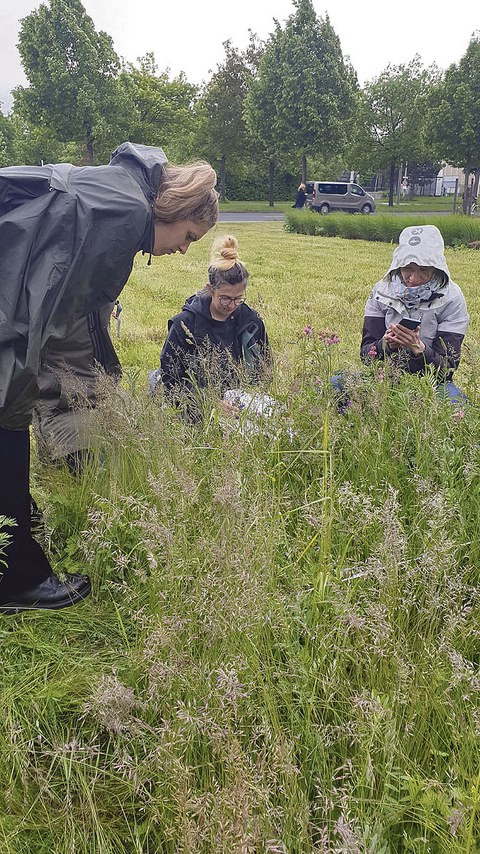 Janine Dahl, Nicole Rüsing und Julia Döring bei der Campusinventur auf der Wiese vor dem Andreas-Schubert-Bau.