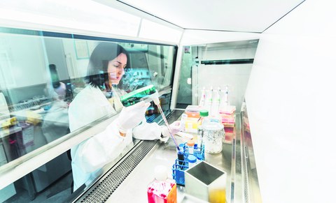 Bild von Laborabeiten am CRTD