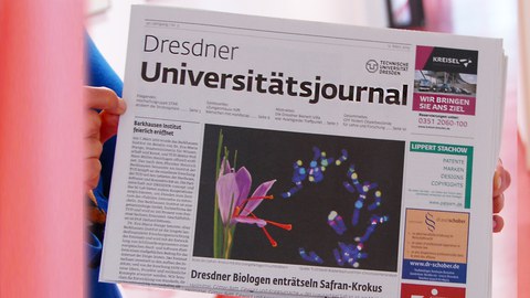 UJ 5-19/Safran