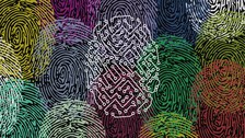 Verschiedene bunte Fingerabdrücke 