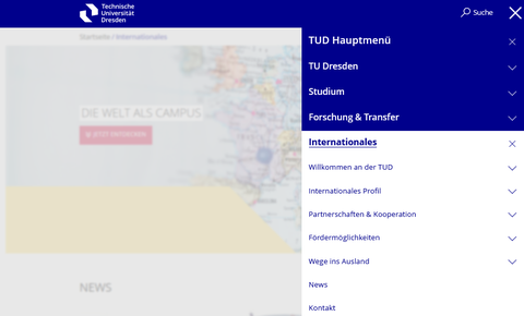 Screenshot der Navigation im Hauptmenüpunkt Internationales