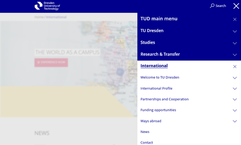 Screenshot of the navigation in the main menu item International
