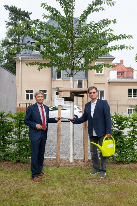 Übergabe Stifterbaum der GFF vor dem Rektorat