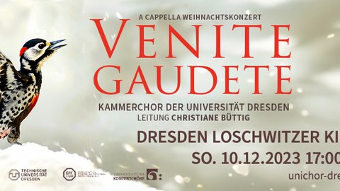 Universitätschor Dresden