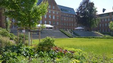 Sommerfest 2023