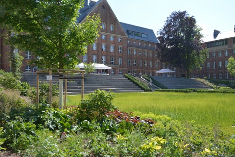 Sommerfest 2023