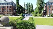 Sommerfest 2025