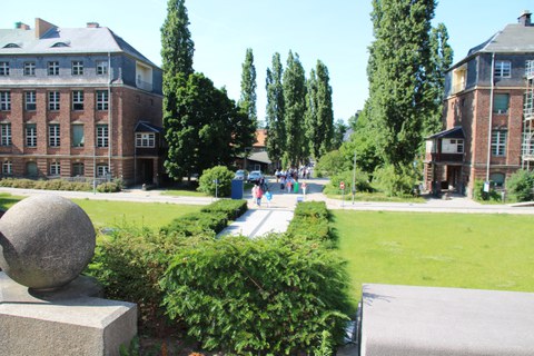 Sommerfest 2025