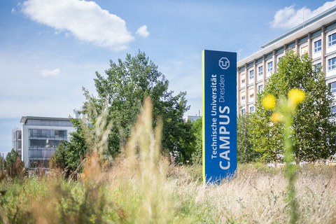 Auf einer Wiese mit zwei Bäumen steht ein Schild, auf dem Technische Univeristaät Dresden und Campus steht. Im Hintergrund befinden sich einige Gebäude.
