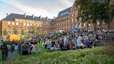 Festwiese mit Besucher:innen