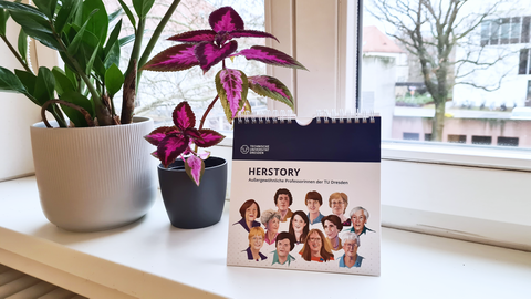 The image shows a standing desk calendar against a blurred, festive background with warm lights. The calendar is titled "HERSTORY – Extraordinary Female Professors of TU Dresden." The cover features portraits of several women representing professors at the Technische Universität Dresden. Decorative pine branches in front of the calendar create a Christmas or festive atmosphere.