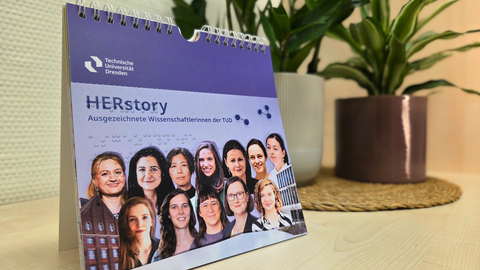 Tischkalender mit dem Titel „HERstory“ der TUD, der ausgezeichnete Wissenschaftlerinnen zeigt. Im Hintergrund stehen grüne Zimmerpflanzen auf einem Holzregal.