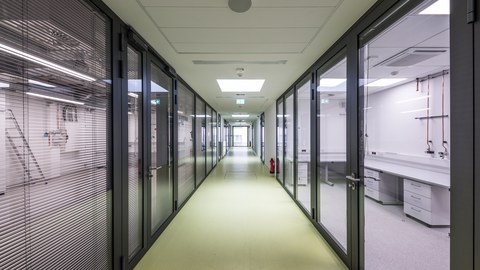 Foto von einem Gang mit direkten Zugängen zu den Laboratorien.