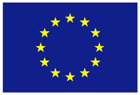 EU Flagge