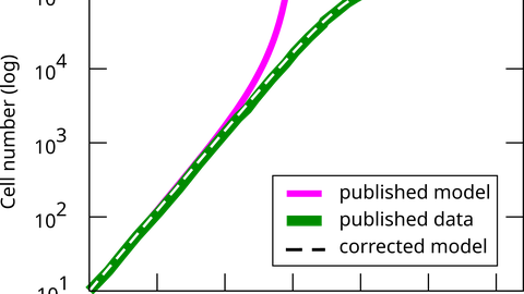 Line chart of a tissue growth model with three trajectories: a green reference curve showing saturation, a deviating red curve with stronger growth, and a dashed curve that matches the reference after parameter correction.