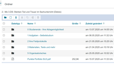 Screenshot: OPAL als Gerüst und Hilfe zum organisieren