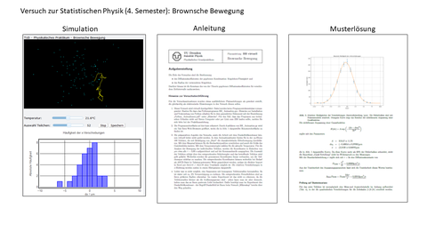 Screenshot: Versuch zur Statistischen Physik: Brownsche Bewegung