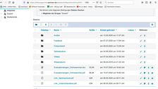 Screenshot: OPAL Kurs