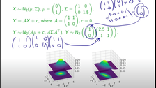 Screenshot: Video über Theory of the Multinormal