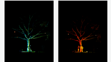 Fotos: Lichtinstallation