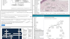 Screenshot: 4 Aufgaben aus einem ONYX-Test