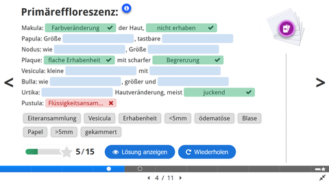 Beispiel Lernkarte