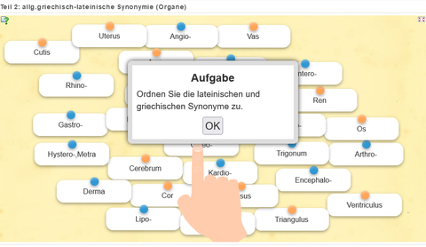 Screenshot eines Online-Memorys, Überschrift: Teil 2 allg. griechisch-lateinische Synonyme (organe)