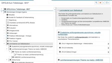 bereitgestelltes Lernmaterial zum Selbststudium im OPAL-Kurs