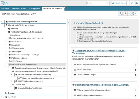bereitgestelltes Lernmaterial zum Selbststudium im OPAL-Kurs