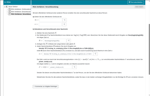 Screenshot: Online-Aufgabe zum Thema RSA mit Lückentextfeldern
